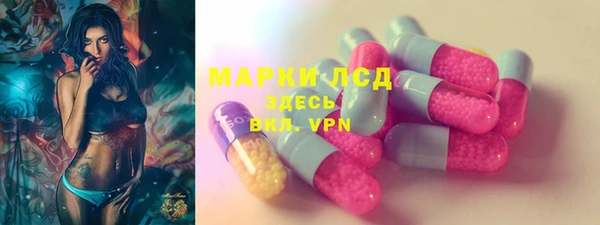ГАЛЛЮЦИНОГЕННЫЕ ГРИБЫ Аркадак