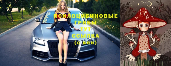 ГАЛЛЮЦИНОГЕННЫЕ ГРИБЫ Аркадак
