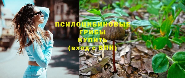 ГАЛЛЮЦИНОГЕННЫЕ ГРИБЫ Аркадак