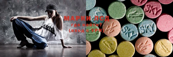 твердый Арсеньев