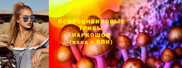 твердый Арсеньев