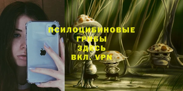 ГАЛЛЮЦИНОГЕННЫЕ ГРИБЫ Аркадак