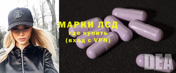 твердый Арсеньев